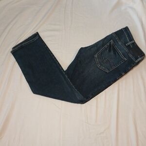 Silver Jeans Men's Straight Jeans - Dark Blue